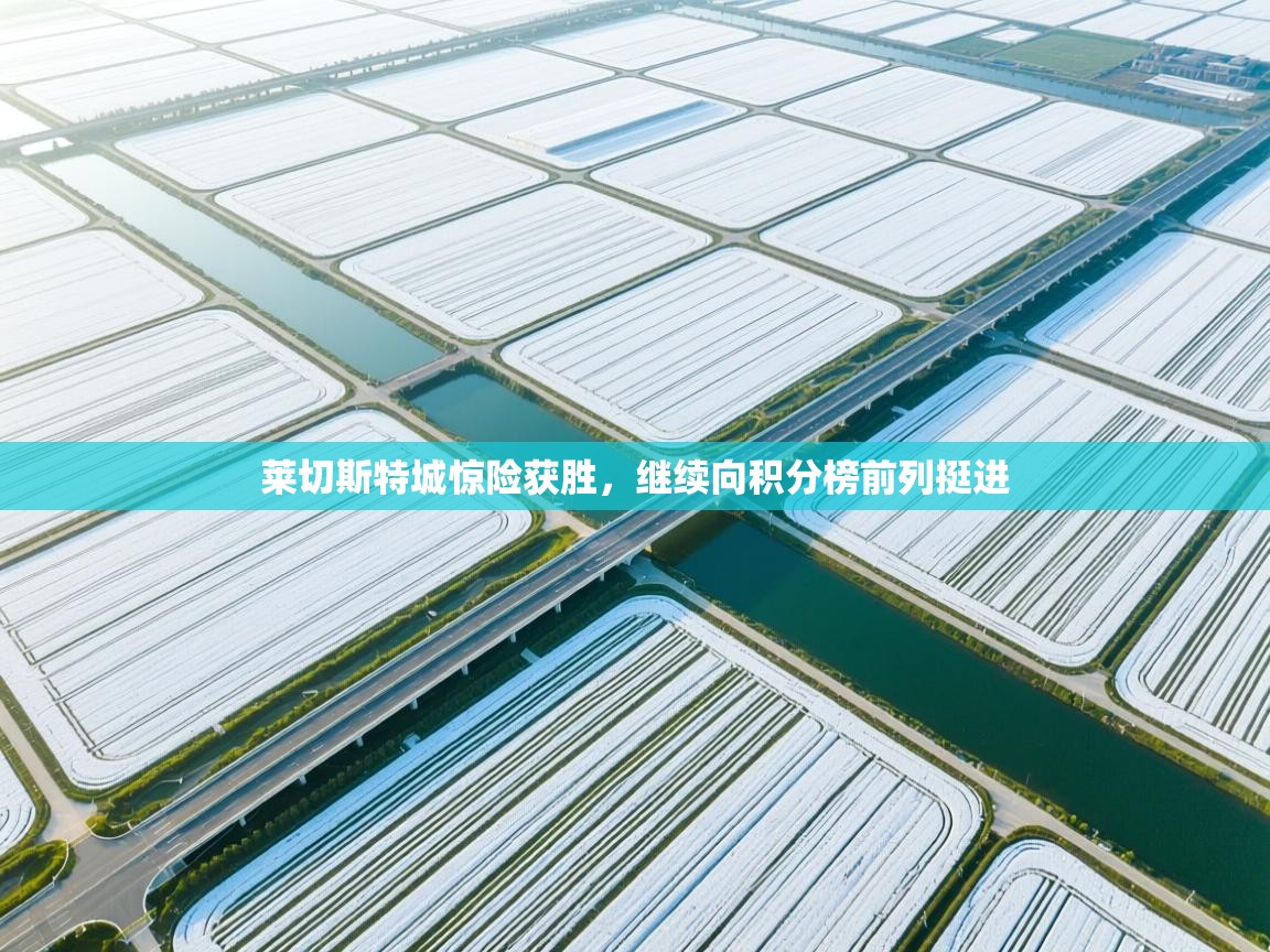 莱切斯特城惊险获胜,继续向积分榜前列挺进 第2张