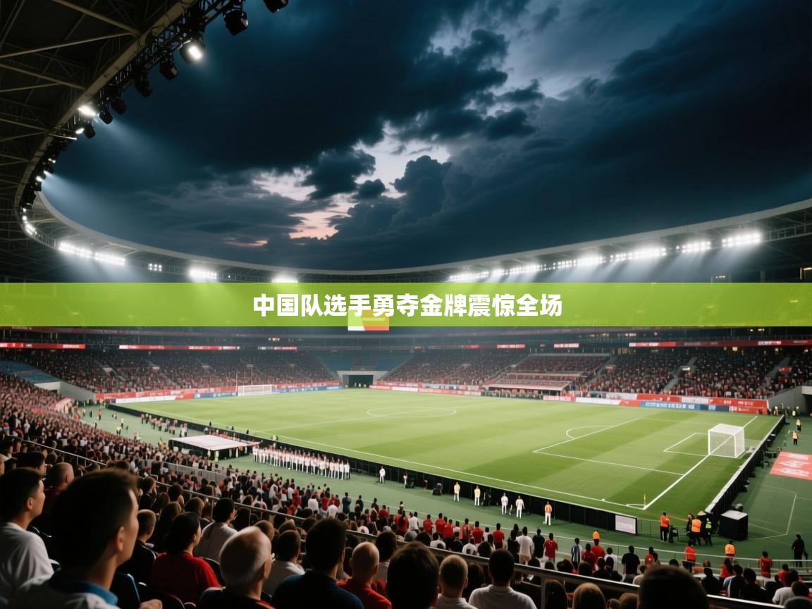 中国队选手勇夺金牌震惊全场  第2张