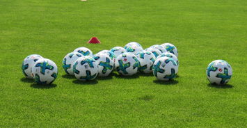 半岛体育在线官网-弗赖堡主场大胜德甲积分榜暂时领跑，弗赖堡队主客场球衣